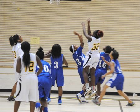 Photo: Lake View Junior Varsity Basketball – The Dillon Herald