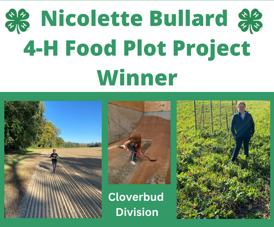 Nicolette Bullard Is Dillon County Cloverbud Food Plot Project Winner