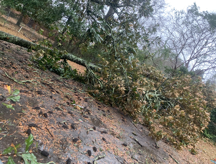 Storm Passes Through County